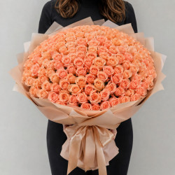 101 персиковой розы (60 см)